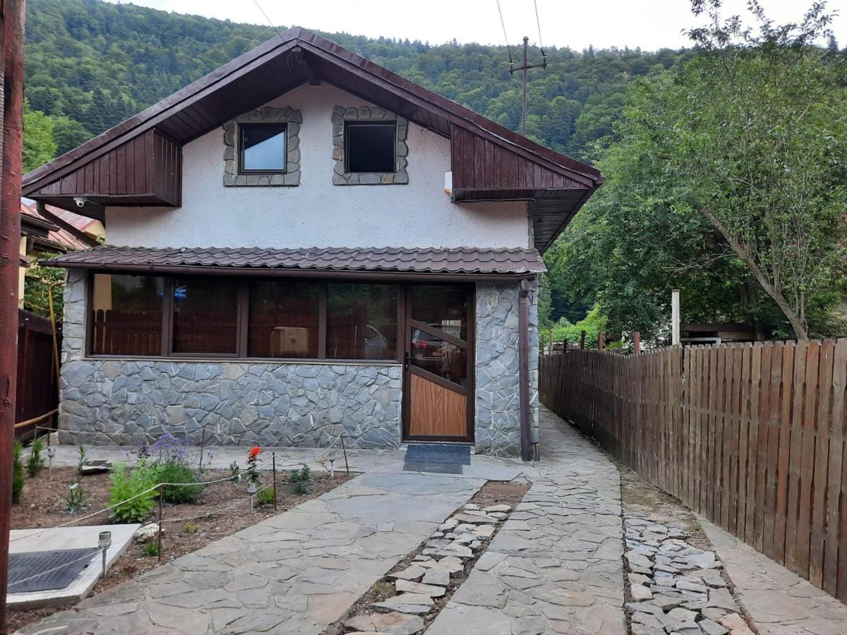 Casa Crissio Villa Sinaia Ngoại thất bức ảnh